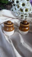 Load image into Gallery viewer, Namak Dani - Mini
 (Set of 2)
