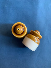 Load image into Gallery viewer, Namak Dani - Mini
 (Set of 2)

